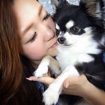 13129143_243473952674688_645011502_a