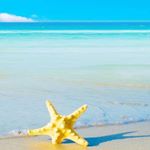 13181232_351798868277334_580428415_a