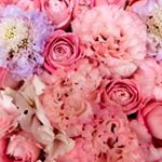 12716784_194732357555668_1410146806_a