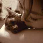 13256571_1030396743719583_870299594_a