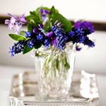 12783369_1655634818019092_1078229975_a