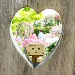 13151273_227556590956619_446141212_a