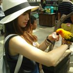 11856612_519496161559032_1009527061_a