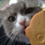 11098523_413781235458371_847954491_a