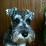 13102398_189203868140449_861032892_a