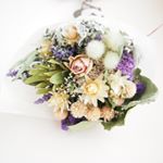 12354097_634892506650985_254288450_a