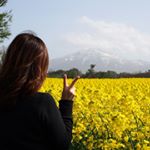 13102452_121303951612673_538204208_a