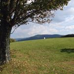 11925726_1065740476769490_823172952_a