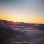 11820574_1644819162399086_325079971_a