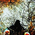 13167438_1577778152515403_466300144_a