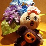 13129902_242952412730129_1847591514_a