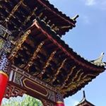 11925674_1646589375595802_1027849876_a