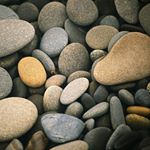 10369271_1693837100833975_1454459083_a