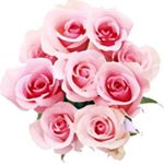 12317486_1500127006950754_336681682_a