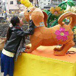 11357935_1449065838744693_1330284753_a