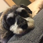 12383313_466637753528998_543117504_a