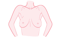 両腕を上げて、左右の乳房、乳輪、乳頭の形、大きさなどの変化を確かめます
