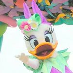 12934929_1161138067232003_1150782870_a