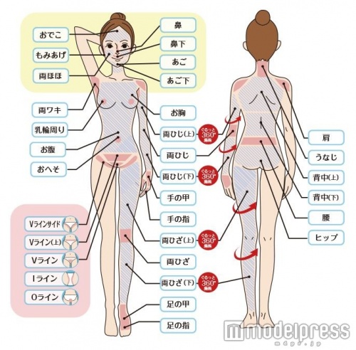 「KIREIMO（キレイモ）」なら全身33箇所の脱毛も可能
