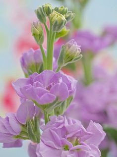 15045cdd0a0d10febeb47b07798c3c76