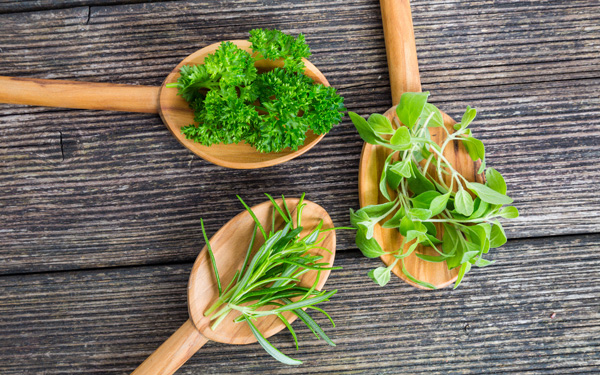 パセリ　家庭菜園 © bmf-foto.de - Fotolia.com