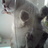Image1433_normal
