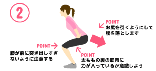 正しいフォームのスクワットの図