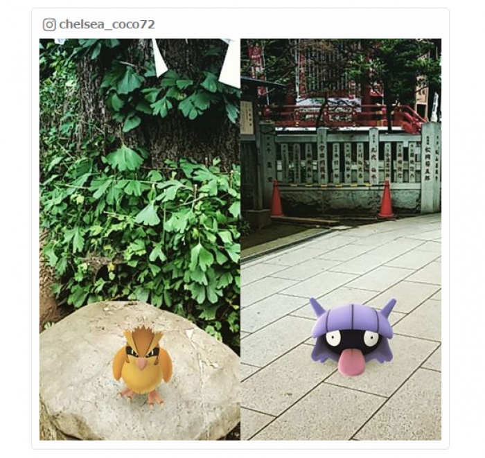 たくさん歩いていろんな場所を巡ってみよう／chelsea_coco72さんInstagramより