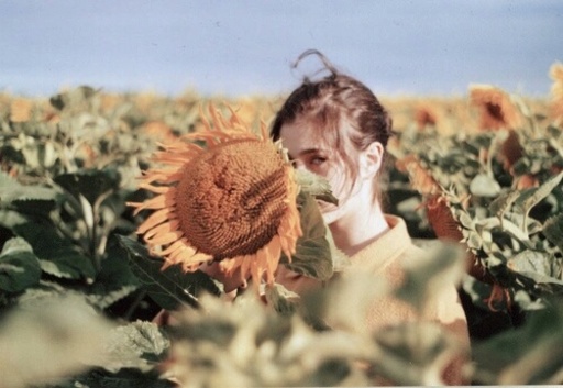 ヒマワリの影から覗く女性