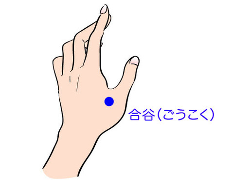 合谷（ごうこく）