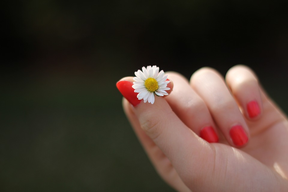 gazou