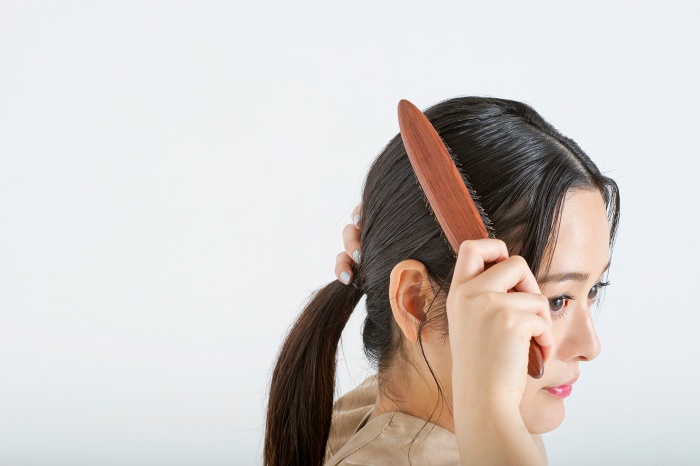 HOW TO 1（C）TOPLOG