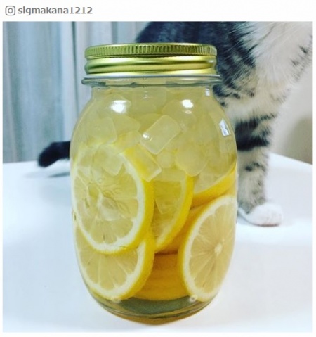 sigmakana1212さんInstagram