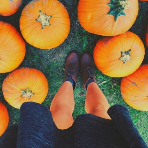 たくさんのかぼちゃの中で立つ女性