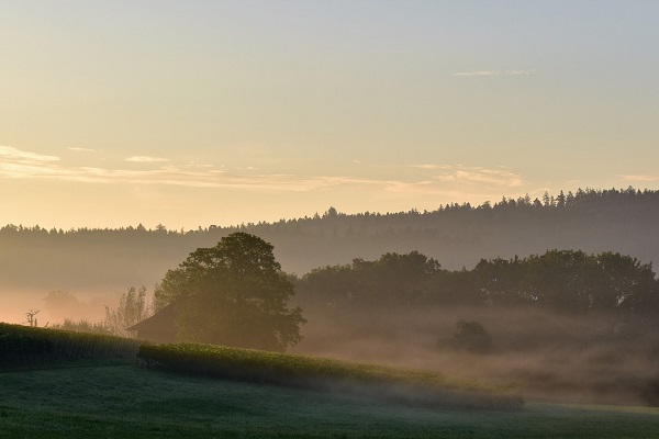 20160915111128-3110-743_raw.jpg