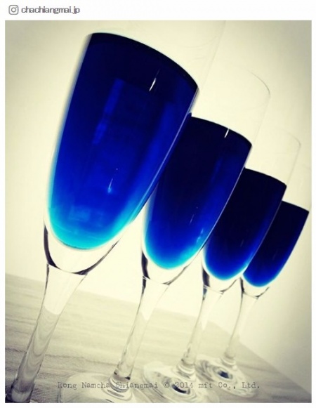 「バタフライピー」って何？次なるブーム、鮮やかなブルーの若返りハーブに注目／chachiangmai.jpさんinstagramより