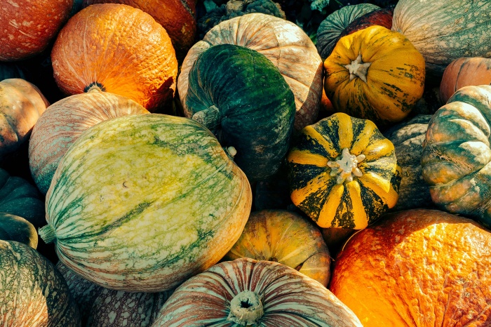 かぼちゃはダイエットの味方だった!効果とおすすめ食べ方/pumpkins by Sonny Abesamis