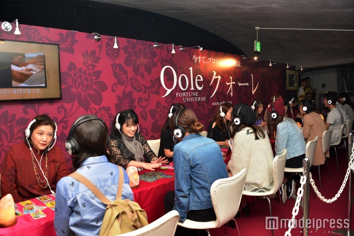 11名の鑑定師が直接鑑定（C）モデルプレス