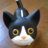 Image normal