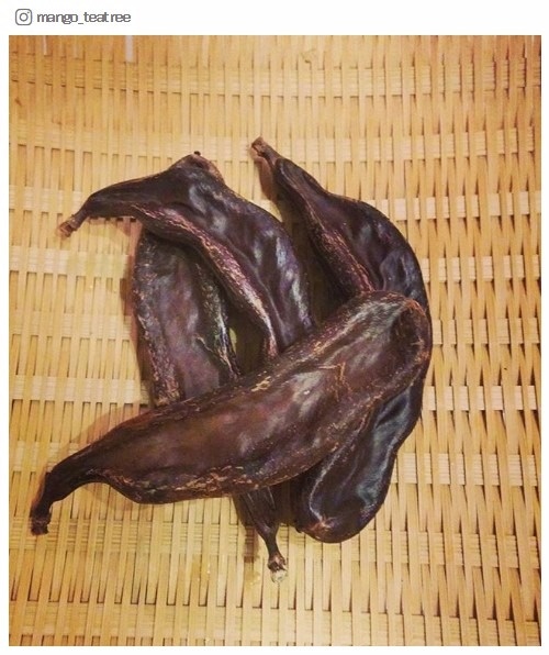 mango_teatreeさんInstagram