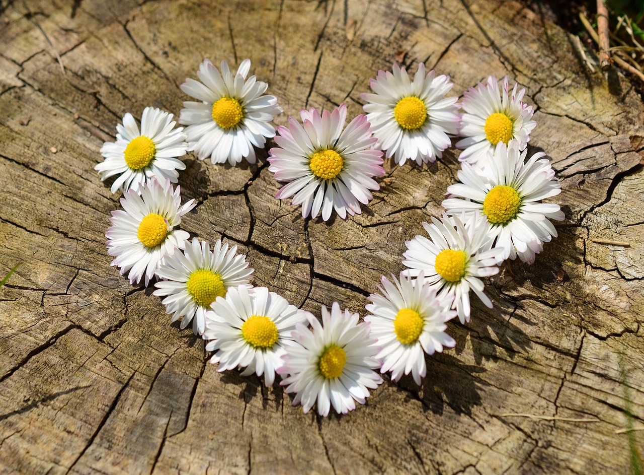花で作ったハート