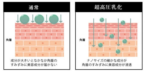 細かくなった成分が肌の奥まで浸透
