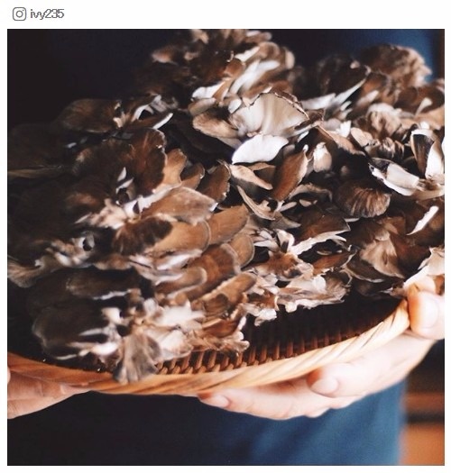 「まいたけ」ダイエットなら1週間で－4キロも夢じゃない！お手軽やり方／ivy235さんInstagram