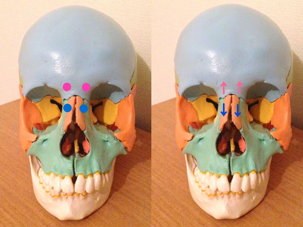 簡単に目力アップ!すきま時間でできる美顔テクニック