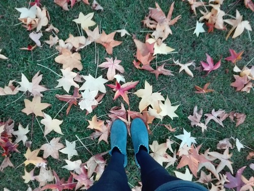 指先に季節感を！秋を感じられるセルフネイルのやり方