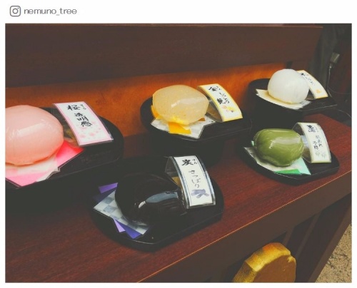 nemuno_treeさんInstagramより