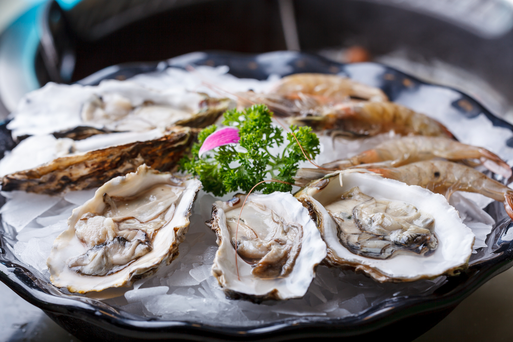 Fresh oysters in a white plate with ice