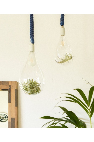 BOTANIC HANGING LIGHT L JSF BLUE