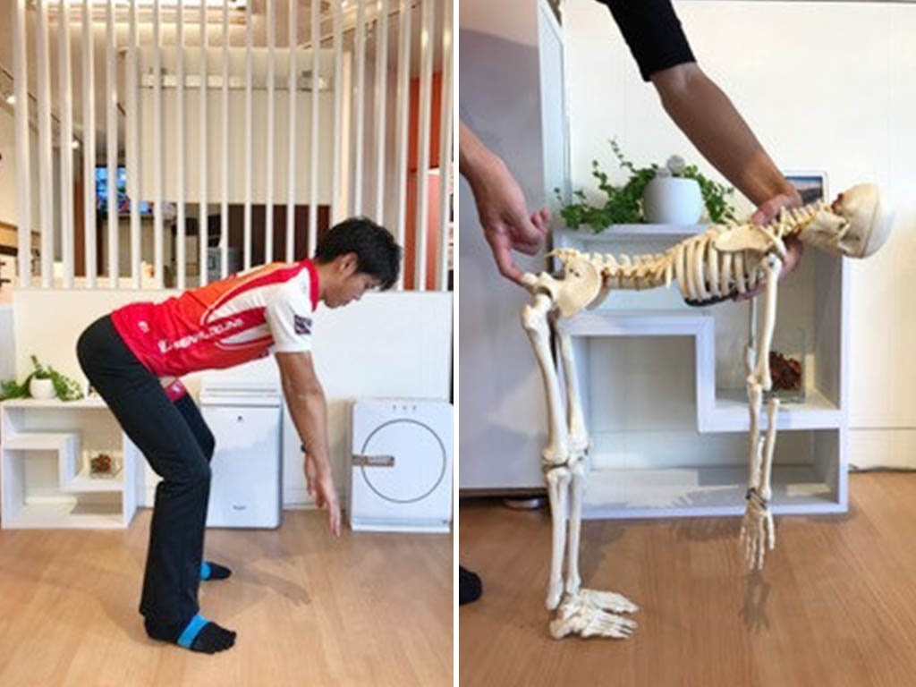 ストレッチは伸ばしたい筋肉を意識して！