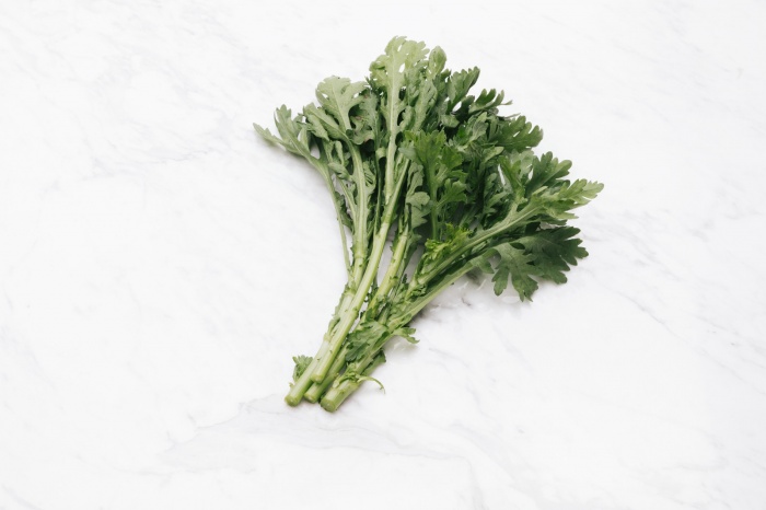 濃い緑色にはスゴイパワーが隠れていた／photo by  写真素材ぱくたそ